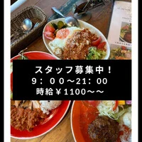 画像484