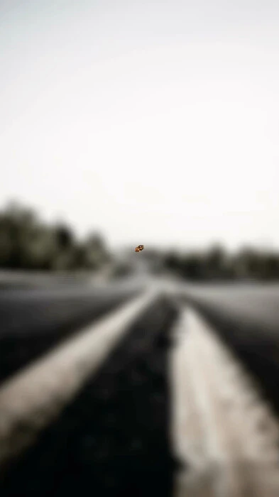 画像503