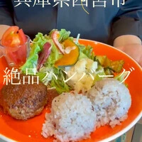画像509